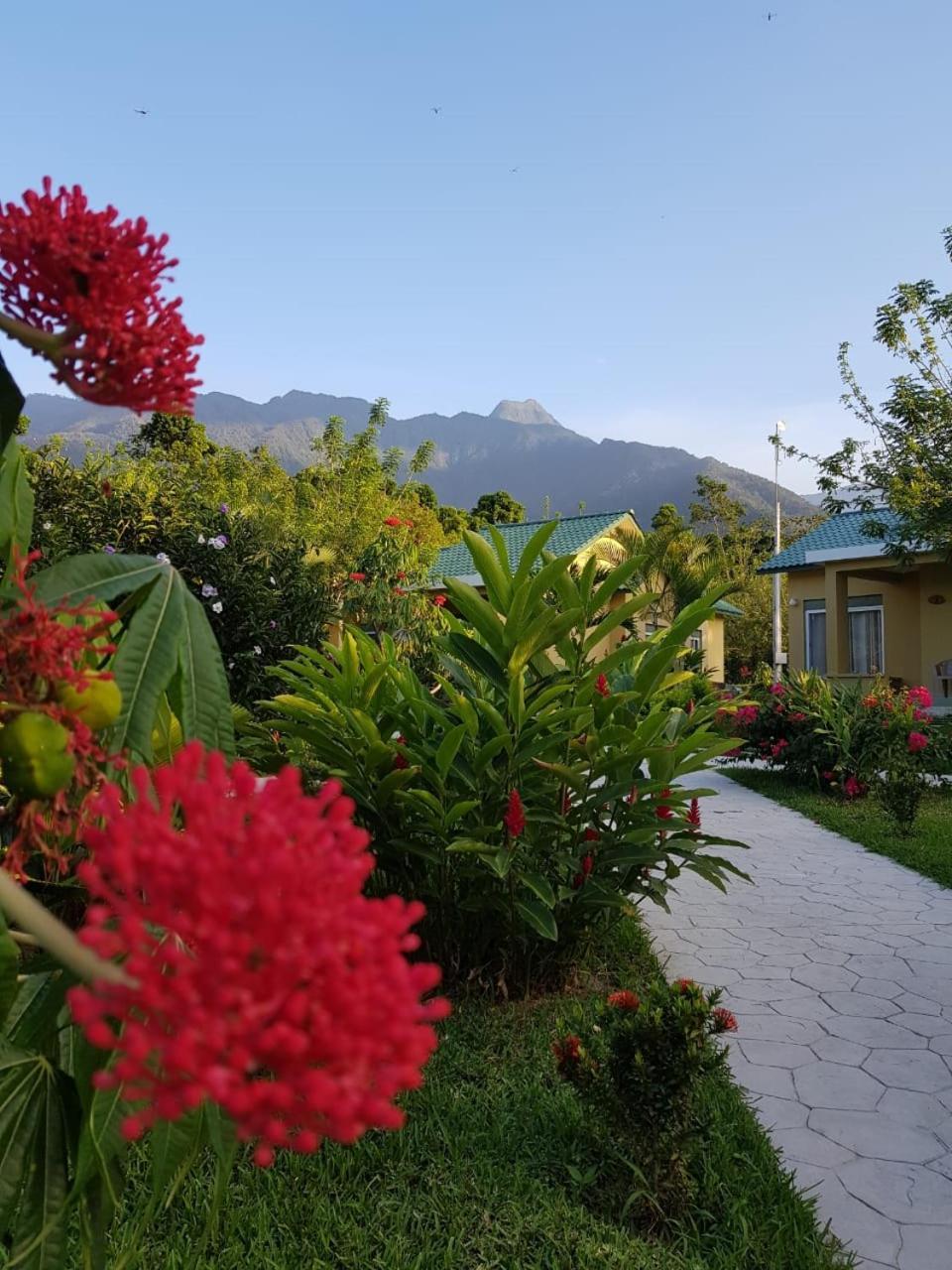 Corinto Pearl Eco Resort El Pino Esterno foto